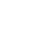 Buena Vista Logo white